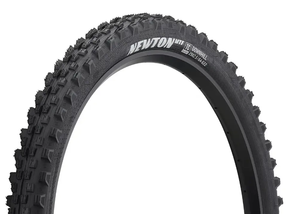 NEUMATICO GOODYEAR NEWTON MTF DOWNHILL 29 X 2.5 5