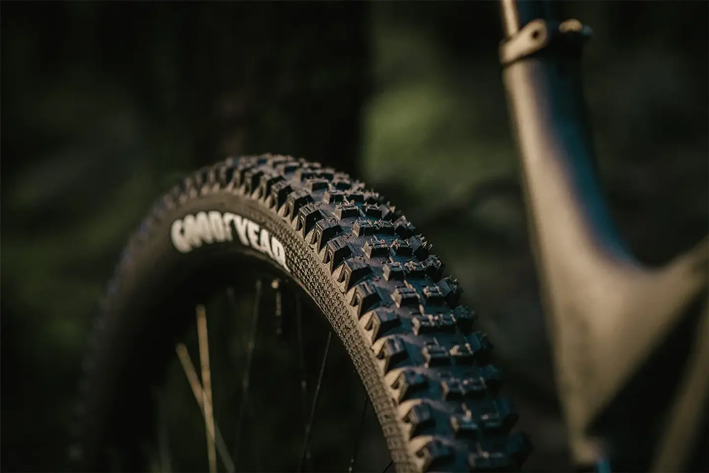 NEUMATICO GOODYEAR NEWTON MTR DOWNHILL 27.5 x 2.6 8