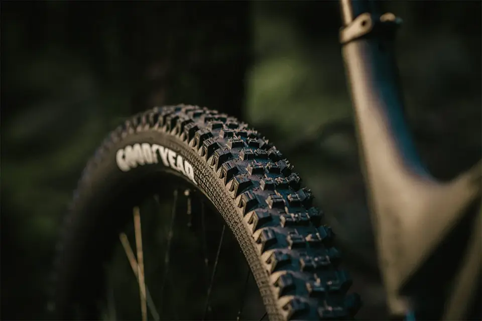 NEUMATICO GOODYEAR NEWTON MTR DOWNHILL 27.5 x 2.6 8