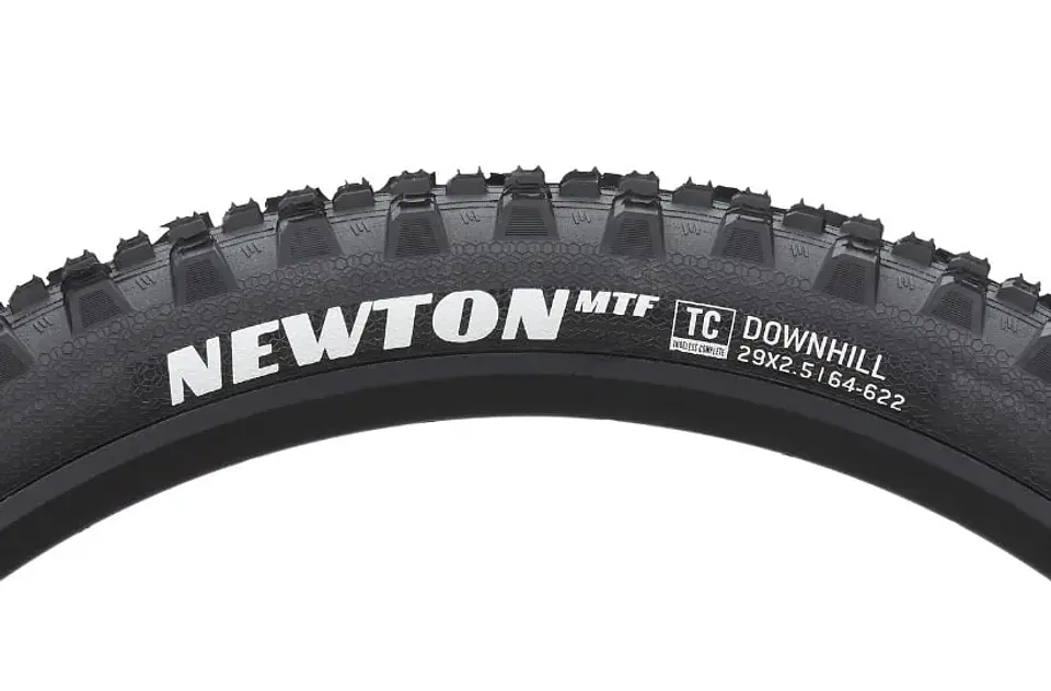 NEUMATICO GOODYEAR NEWTON MTF DOWNHILL 29 X 2.5 6