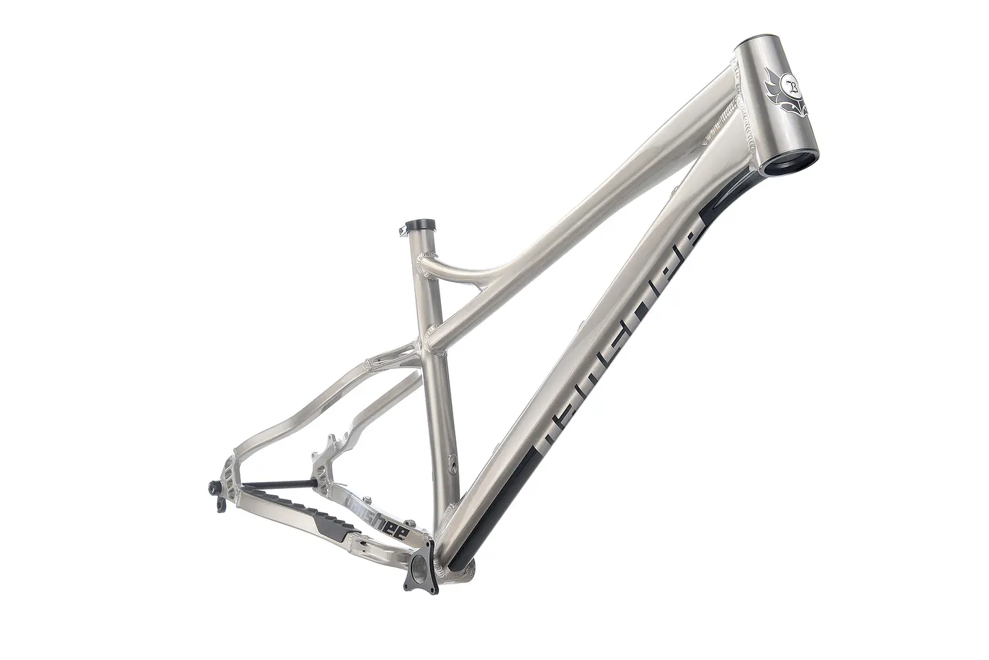 Cuadro Banshee Enigma 1