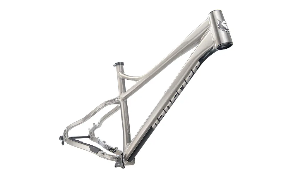 Cuadro Banshee Enigma 1