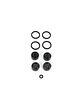 Kit mantenimiento Caliper Hayes A4 - thumbnail 1