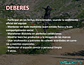 Wildsty Race Team 2026 - thumbnail 7