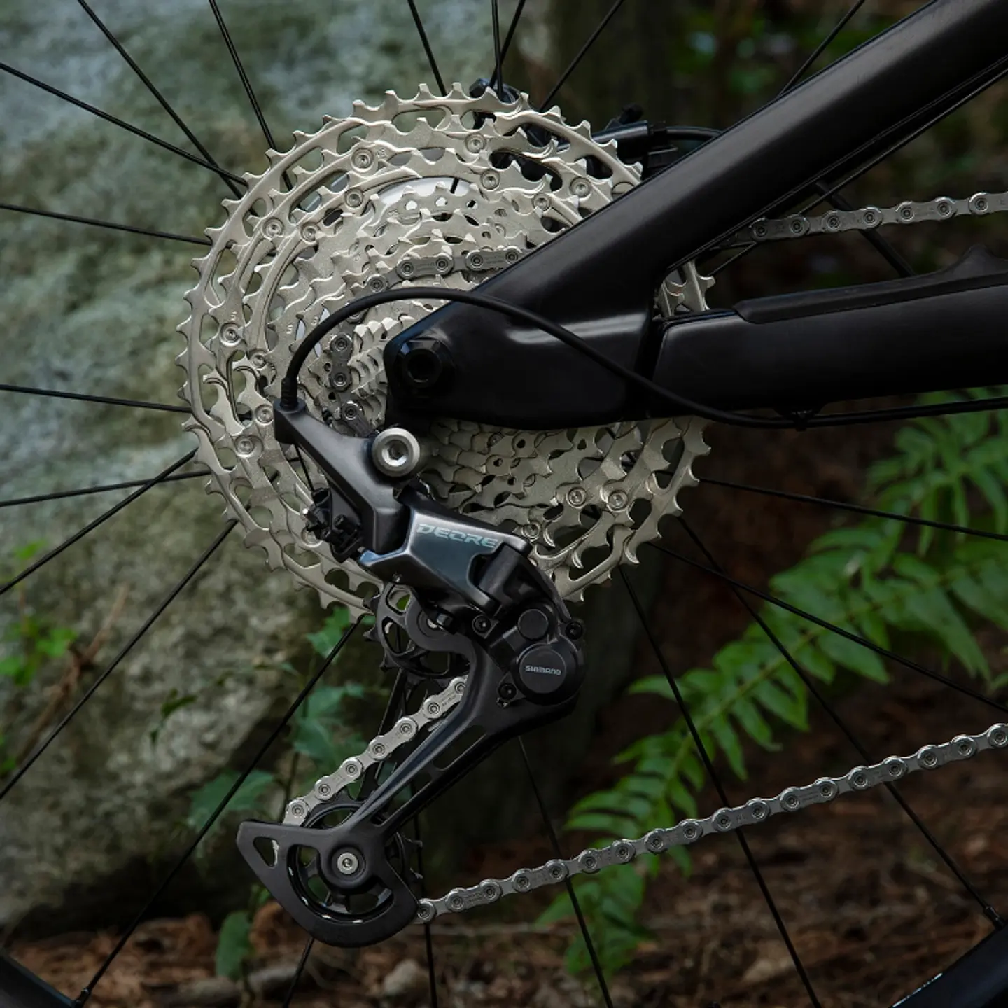 Piñon Shimano 12V Deore 2