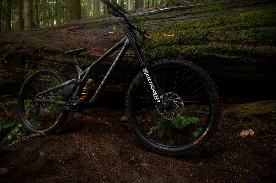 Horquilla RockShox BoXXer Ultimate RC2 D1 29 Boost 200mm Negra / Black 2