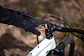 Herramienta llave allen CRANKBROTHERS MULTI 19 Midnight edition - Miniatura 3