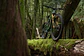 2025 Podium GOLD Horquilla Fox 38 FLOAT GRIP X2 29in 170mm - Miniatura 2