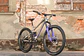 Cuadro Banshee Trail Phantom V3.2 - thumbnail 2