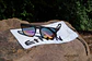 Anteojos LIO Lifestyle Unisex - Miniatura 5