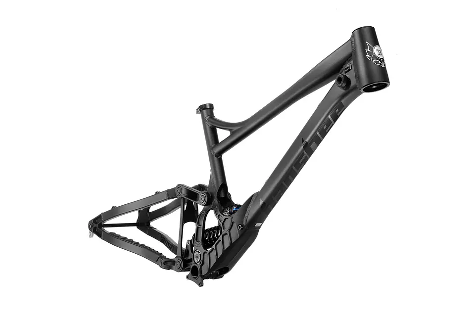 Cuadro DH Banshee Legend Descenso 1