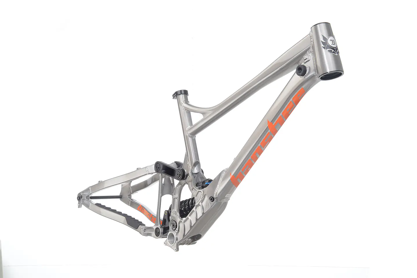 Cuadro DH Banshee Legend Descenso 3