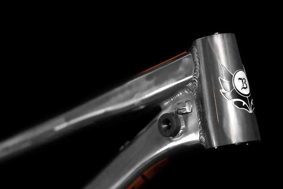 Cuadro DH Banshee Legend Descenso 5