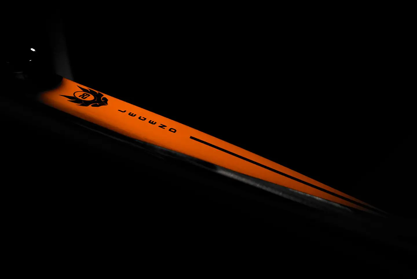 Cuadro DH Banshee Legend Descenso 6