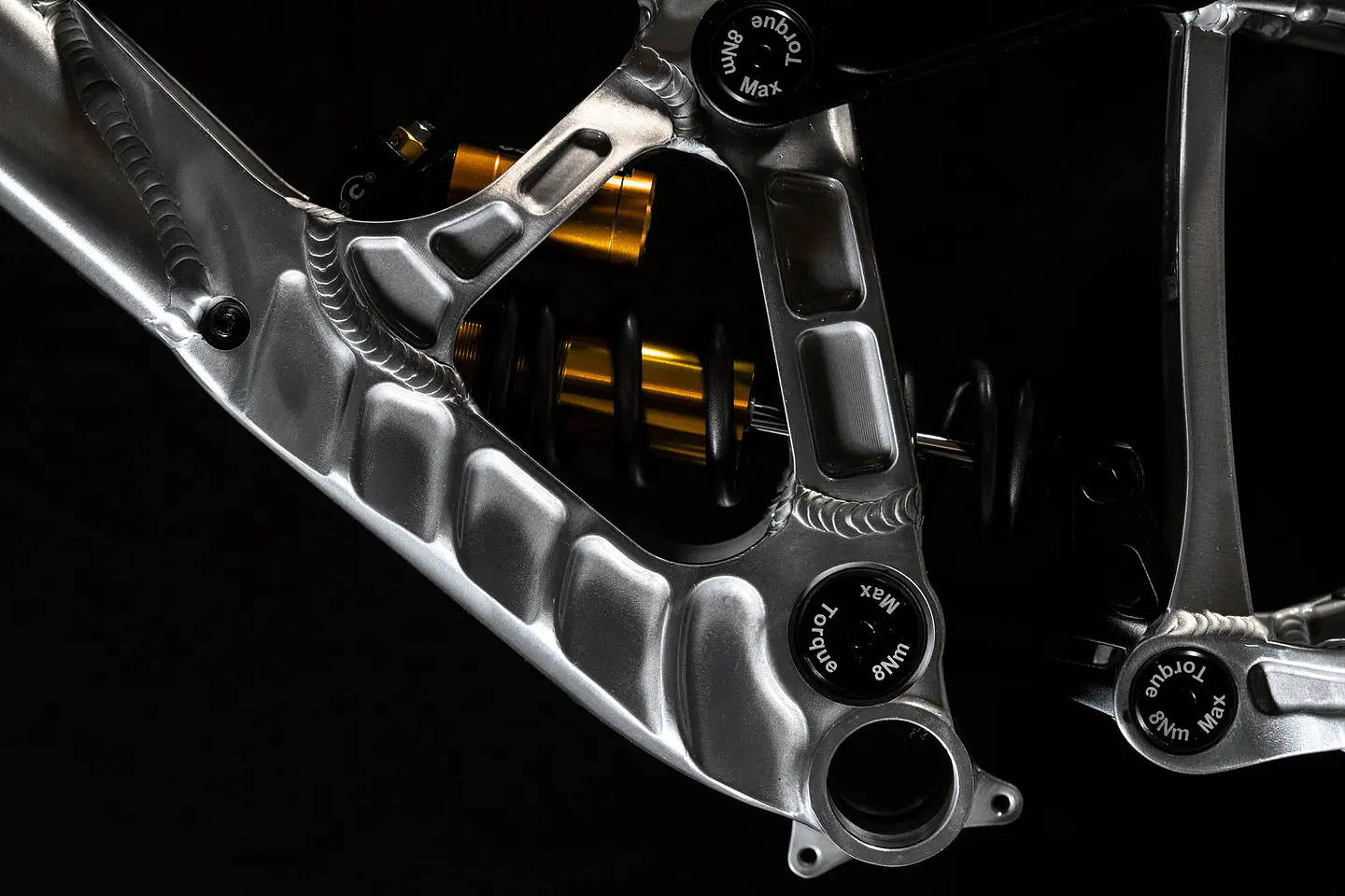 Cuadro DH Banshee Legend Descenso 7
