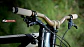 MANUBRIO RENTHAL FATBAR ALU 800X35x40MM - thumbnail 2
