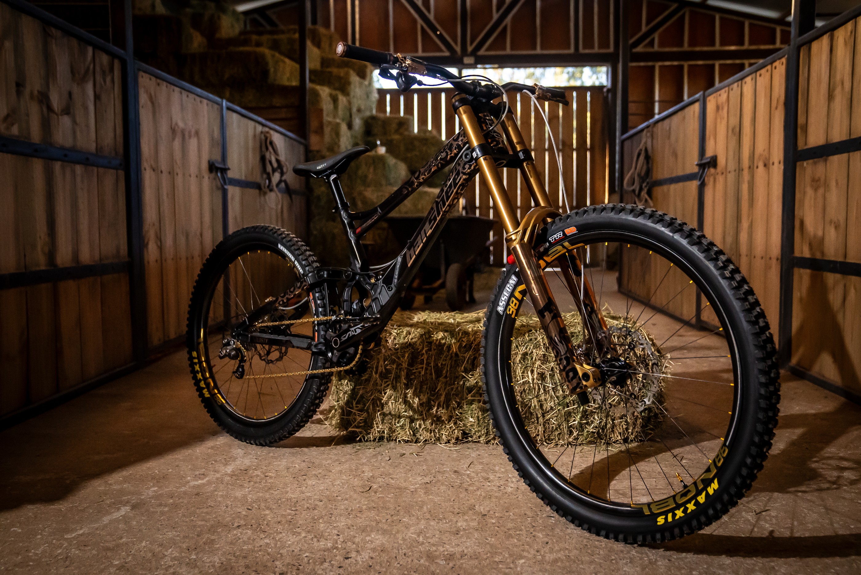 Dream Build #8 Banshee Legend Mullet