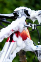 Shampoo para Bicicleta Grezzy+ E-Razer Formula 1 L - Miniatura 5