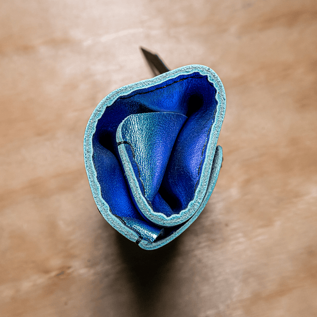 Estuche Águila menta-violeta tornasol