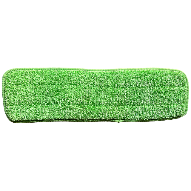 Mopa Seca Microfibra Repuesto Verde 45Cm