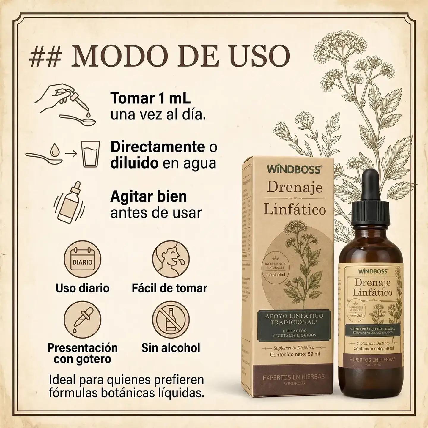 2 Drenajes Linfáticos Extracto Herbal 59 Ml Windboss 2