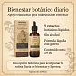 2 Drenajes Linfáticos Extracto Herbal 59 Ml Windboss - Miniatura 3