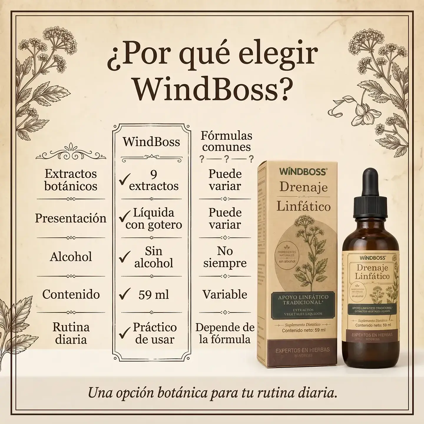 2 Drenajes Linfáticos Extracto Herbal 59 Ml Windboss 4