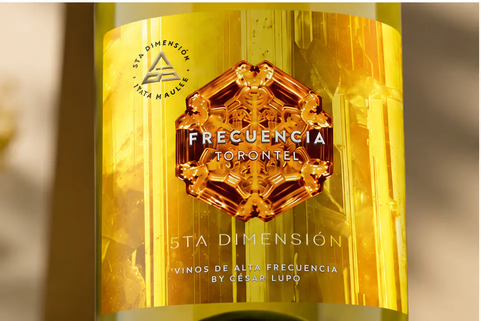 Frecuencia Torontel — Valle del Itata | 5ta Dimensión 3