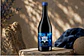Frecuencia Cinsault — Valle del Itata | 5ta Dimensión - Miniatura 2