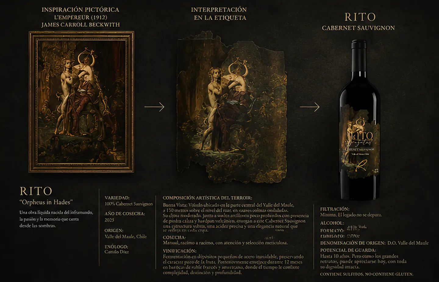 Singulart Rito “Orpheus in Hades” — Cabernet Sauvignon 2023 | Valle del Maule 5