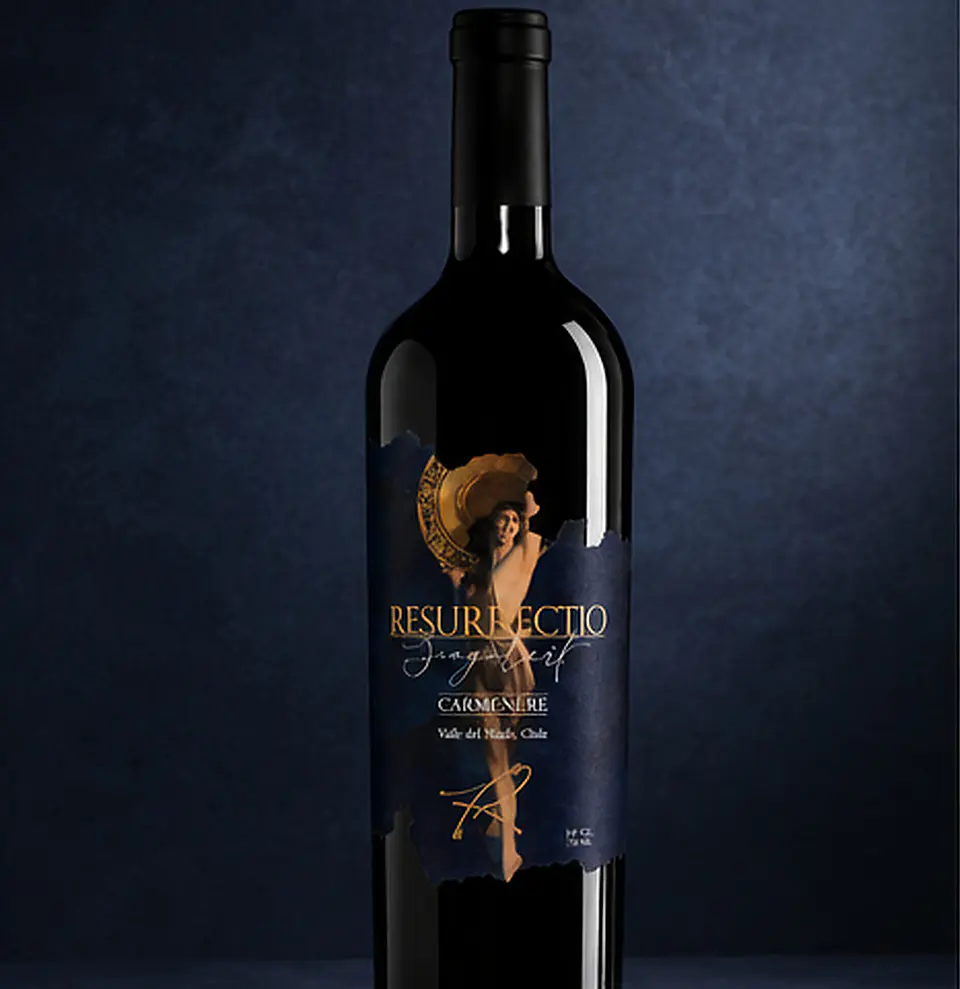 Singulart Resurrecto “The Enchantress” — Carménère 2022 | Valle del Maule 1
