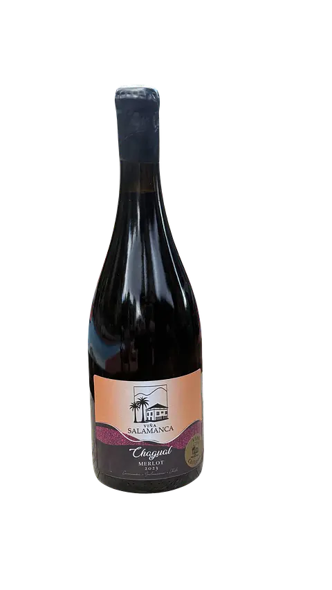 Merlot 2023