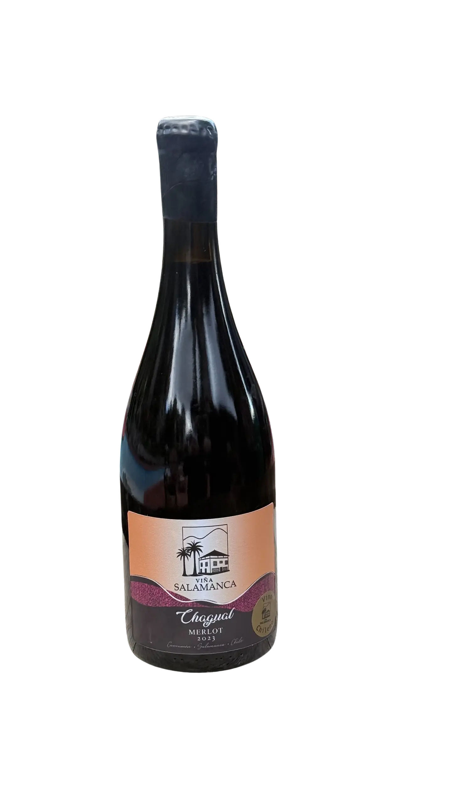 Merlot 2023 1