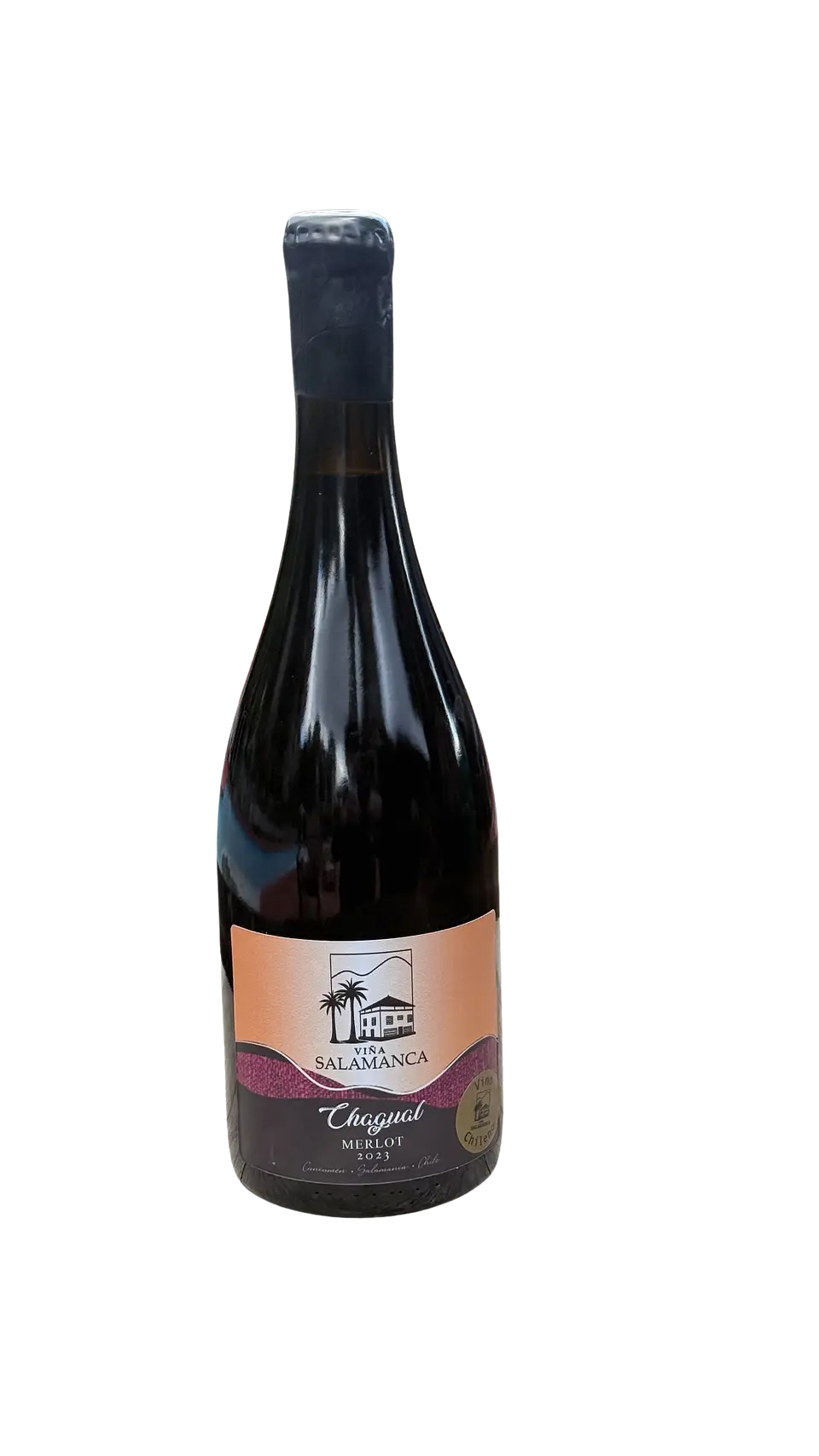 Merlot 2023 1