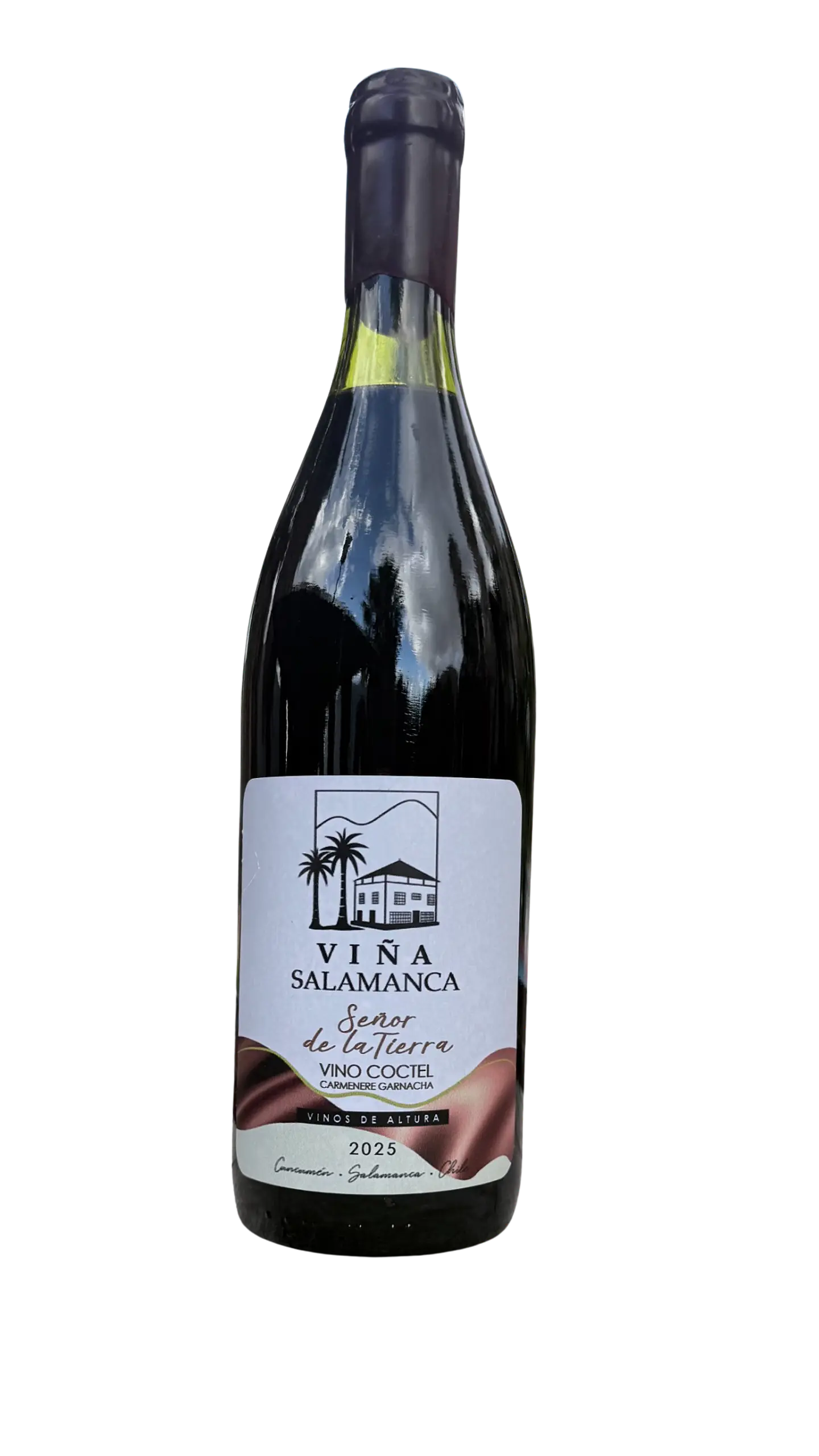 Señor de la Tierra · 2025 1