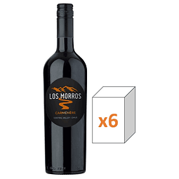 CARMÉNÈRE LOS MORROS X 6