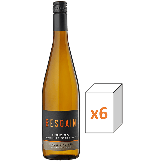 RIESLING BESOAIN X 6
