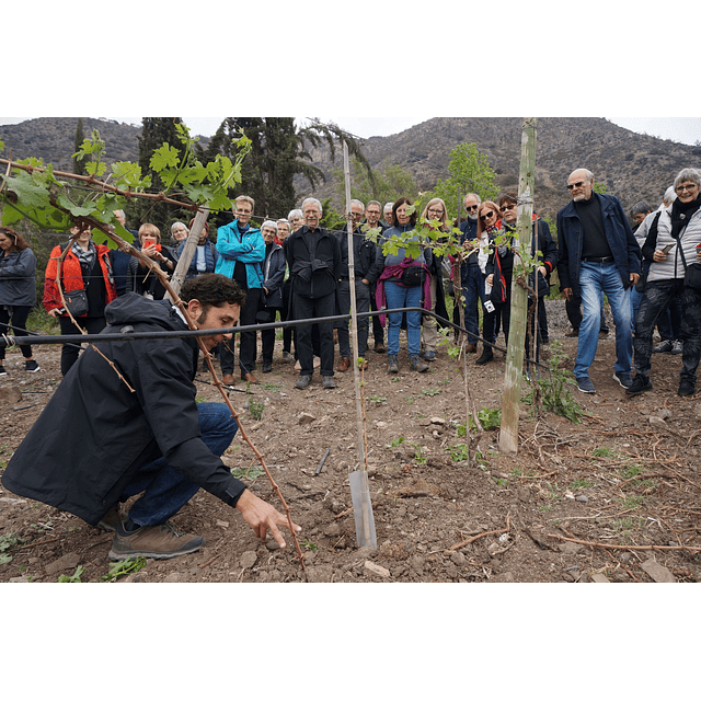 ENOTURISMO  1 PAX VOUCHER