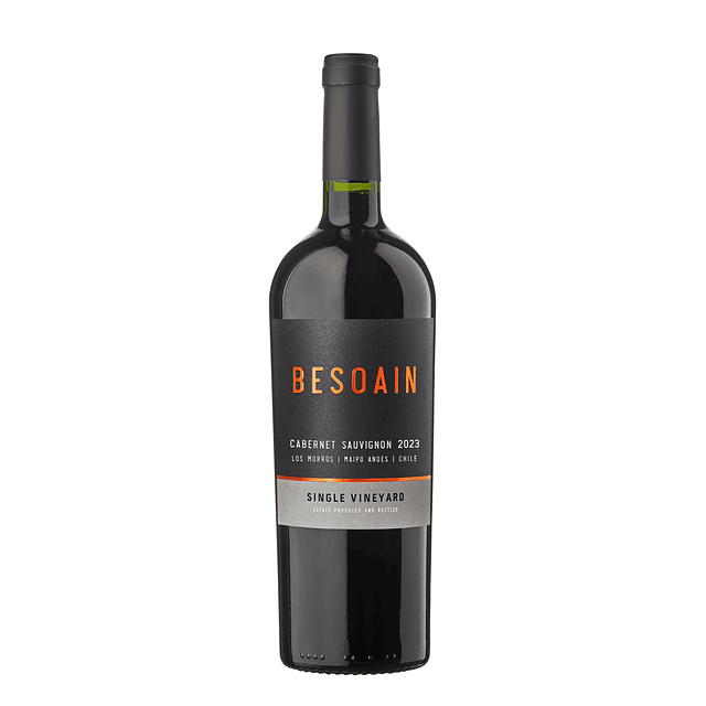 CABERNET SAUVIGNON MAIPO ANDES 2023