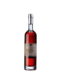 ARMAGNAC PUYSEGUR XO Bas Armagnac vol. 40% - 70cl