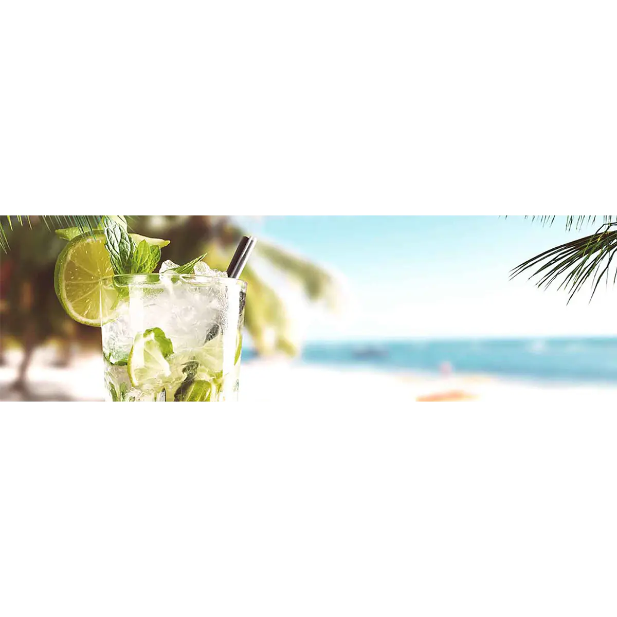 CARIBBEAN CANE