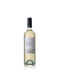 ILAURI Tavo Pinot Grigio delle Venezie 2019