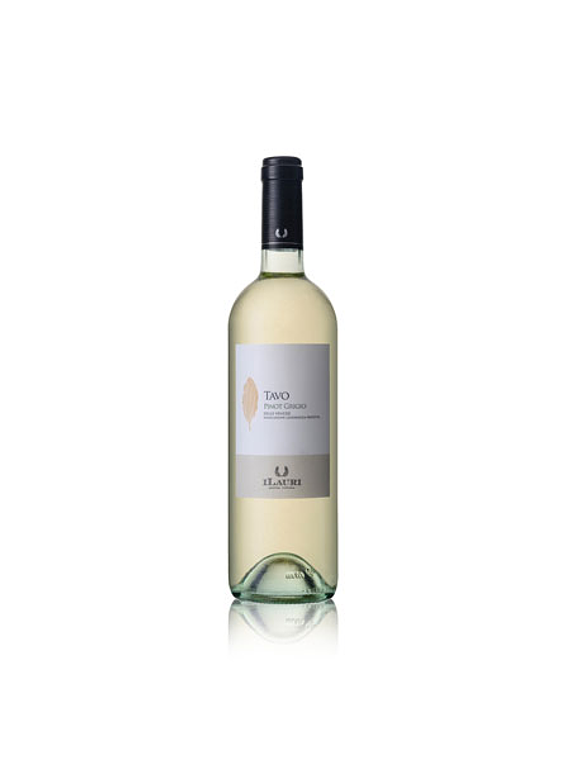 ILAURI Tavo Pinot Grigio delle Venezie 2019