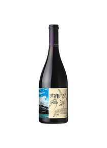  Montes Folly SYRAH Colchagua Chile 2011