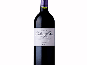 Château Caillou d'Arthus Tinto Saint-Émilion Grand Cru 2020