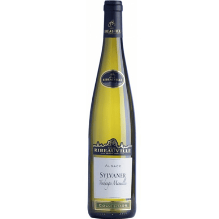 Cave de Ribeauvillé Sylvaner Blanco Alsacia 2013  1