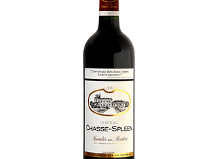 Château Chasse-Spleen Red Moulis 2021