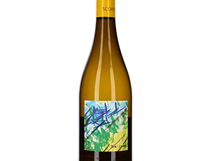 BIBI GRAETZ SCOPETO Toscane Blanc 2021