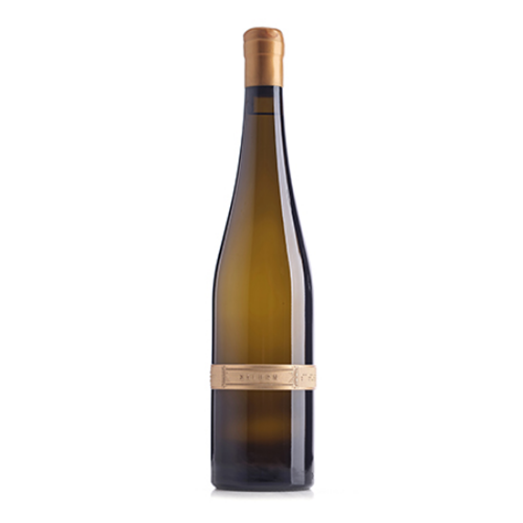 SATURN Riesling 2013 - 75cl 1