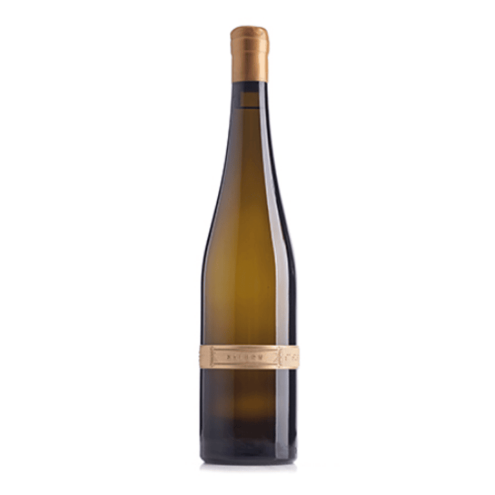 SATURN Riesling 2013 - 75cl 1